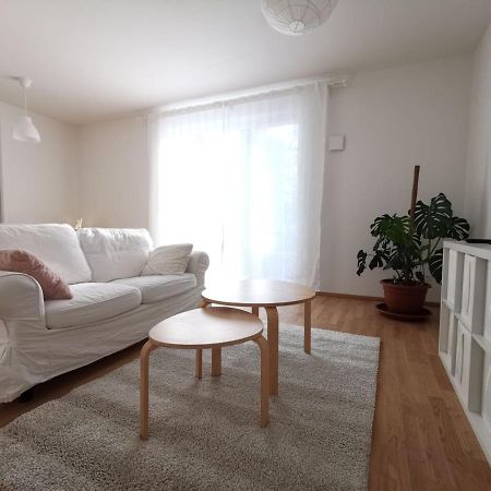 Gemuetliches Privatzimmer In Geraeumiger Gemeinschaftswohnung Dresden Eksteriør bilde